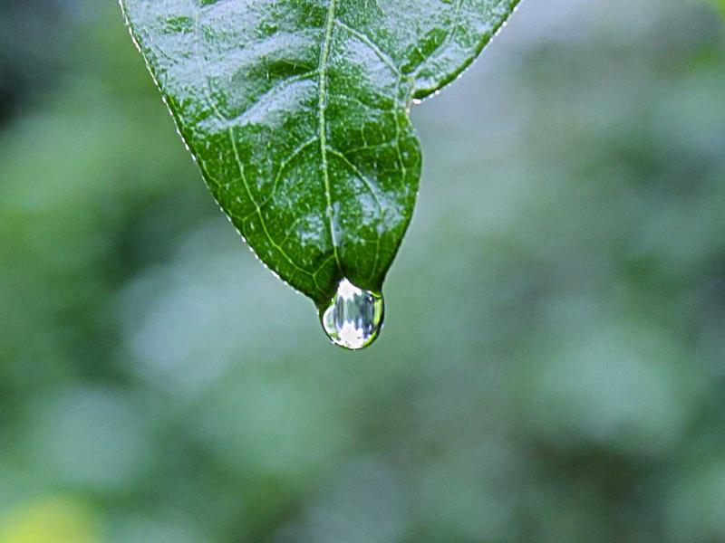 时间晶体<br>qyw0fsis.cn 永动四维结构